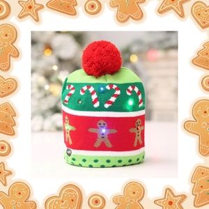 Christmas Beanie Hat Lights up